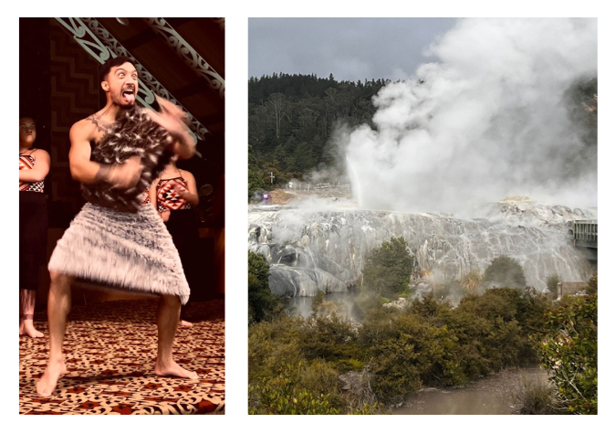 Blog NZ - 3
