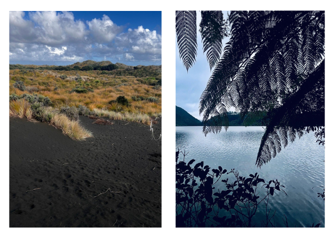 Blog NZ - 4