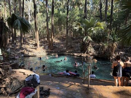 Mataranka Thermal Pools | Wavelength
